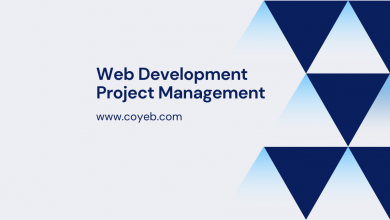 web development project management