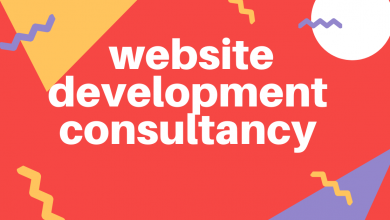 website development consultancy