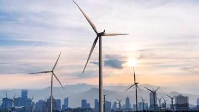 Renewable Energy Economy