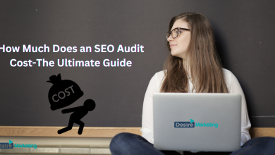 How Much Does an SEO Audit Cost-The Ultimate Guide
