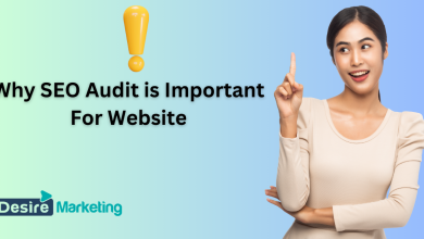 Why SEO Audit is Important For Website