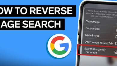 How to Do a Reverse Image Search on Google