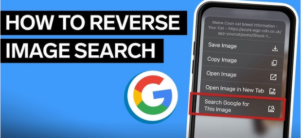 How to Do a Reverse Image Search on Google