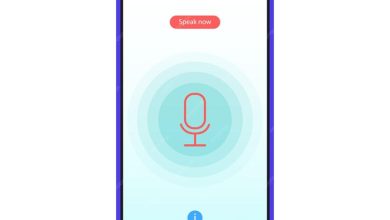 voice search