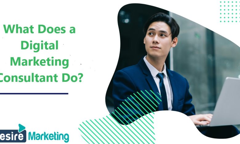 Digital Marketing Consultant