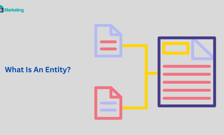 What Is an Entity
