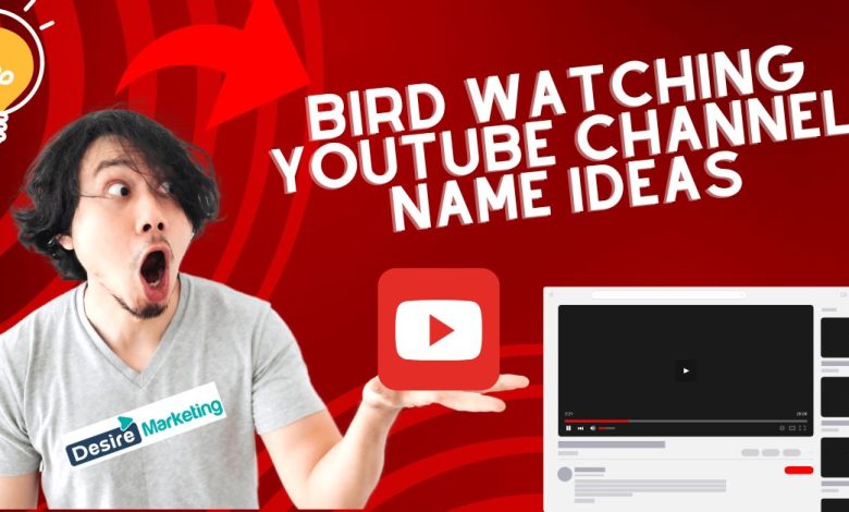 Bird Watching YouTube Channel Name Ideas